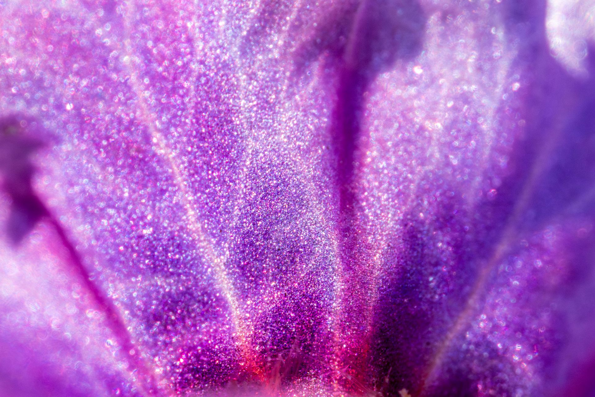 Detail van bloem